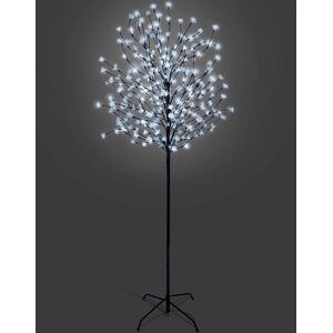 The Seasonal Aisle NETTA Cherry Blossom Tree with Built-In LEDs Cool White 180cm x 40cm x 40cm The Seasonal Aisle NETTA Cherry Blossom Tree with Built-In LEDs Cool White 180cm x 40cm x 40cm