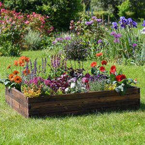 Dakota Fields Ayube Wood Raised Garden Bed 22.50cm H x 110cm W x 60cm D Dakota Fields Ayube Wood Raised Garden Bed 22.50cm H x 110cm W x 60cm D