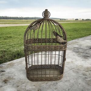 Lark Manor Rusty Garden Wall Mirror Bird Cage Grey 60cm H X 34cm W X 10cm D Lark Manor Rusty Garden Wall Mirror Bird Cage Grey 60cm H X 34cm W X 10cm D