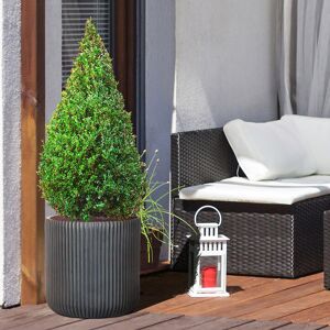 HORTICO Black Concrete Effect Frostproof Outdoor Plant Pot, Garden Flower Pot, Cylinder Round Garden Planter with Drainage Holes, Outdoor Planter with Ribbed Black 45cm H x 45cm W x 45cm D HORTICO Black Concrete Effect Frostproof Outdoor Plant Pot, Garden Flower Pot, Cylinder Round Garden Planter with Drainage Holes, Outdoor Planter with Ribbed Black 45cm H x 45cm W x 45cm D