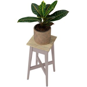 Ophelia & Co. Decatur Square Multi-Tiered Acacia Solid Wood Plant Stand Truffle H50 x L24 x D24cm Ophelia & Co. Decatur Square Multi-Tiered Acacia Solid Wood Plant Stand Truffle H50 x L24 x D24cm