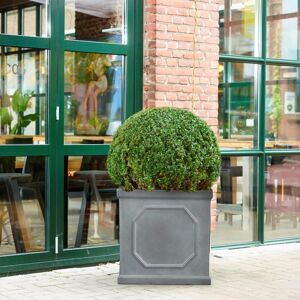 HORTICO Square Planter, Chelsea Flower Box Garden Planter, Light Stone Outdoor Plant Pot Grey 45cm H x 45cm W x 45cm D HORTICO Square Planter, Chelsea Flower Box Garden Planter, Light Stone Outdoor Plant Pot Grey 45cm H x 45cm W x 45cm D