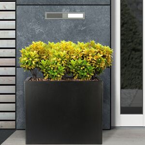 HORTICO Frostproof, Concrete Effect Garden Planter Pot with Drainage Holes Black 50.5cm H x 60cm W x 30cm D HORTICO Frostproof, Concrete Effect Garden Planter Pot with Drainage Holes Black 50.5cm H x 60cm W x 30cm D