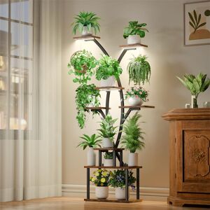 Rio Plant Stand - Set of 10 Black;Brown 164.6cm H X 86.4cm L X 25.7cm D Rio Plant Stand - Set of 10 Black;Brown 164.6cm H X 86.4cm L X 25.7cm D