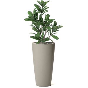 Step2 Plant Pot Beige 71.1cm H X 37.8cm W X 37.8cm D Step2 Plant Pot Beige 71.1cm H X 37.8cm W X 37.8cm D