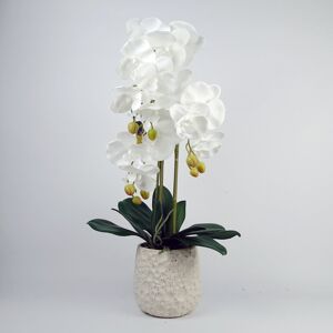Leaf Orchid Floral Arrangement in Planter White 60cm H X 30cm W X 30cm D Leaf Orchid Floral Arrangement in Planter White 60cm H X 30cm W X 30cm D