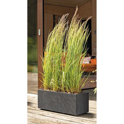 Deroma Millennium Planter - Rectangular Brown - 79x39 cm Deroma Millennium Planter - Rectangular Brown - 79x39 cm