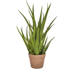 The Seasonal Aisle Artificial Agave Plant in Pot 50.0 H x 40.0 W x 40.0 D cm