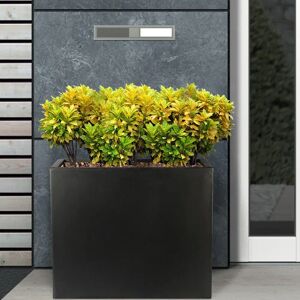 IDEALIST Raised Narrow Contemporary Trough Garden Planter, Light Concrete Outdoor Large Plant Pot black 50.5 H x 60.0 W x 30.0 D cm