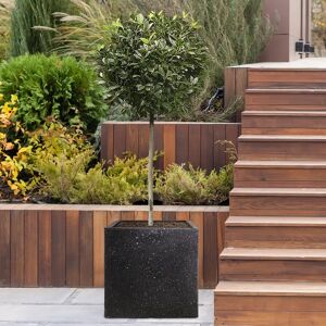 Idealist Contemporary Flower Box Square Garden Planter, Light Concrete Outdoor Plant Pot black 51.0 H x 50.0 W x 50.0 D cm