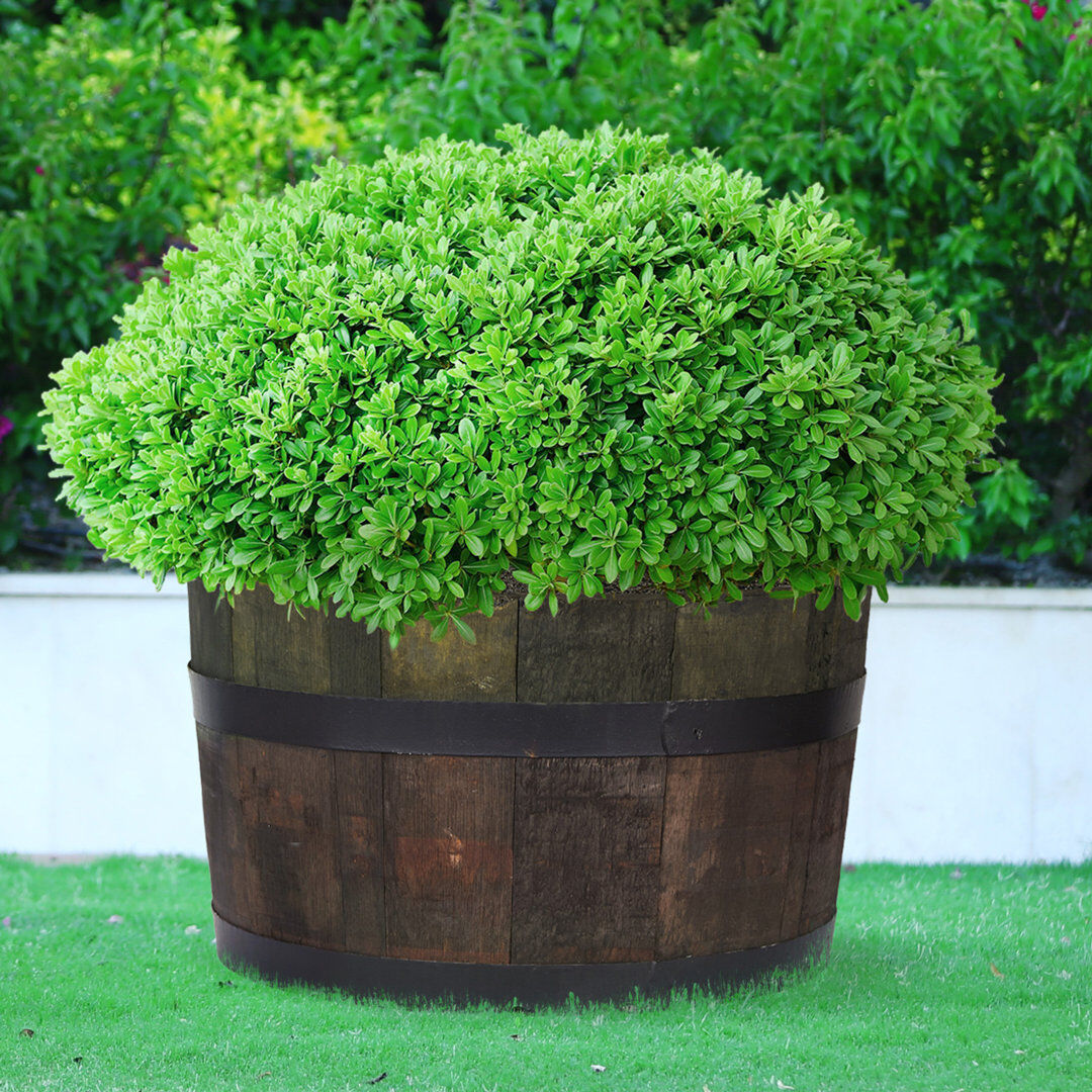 HORTICO Rustic Home And Garden Whiskey Barrel Planter Upsycled Oak Wood Round Tub D40 H30 Cm, 37.7 Ltrs Cap. Brown 30.00cm H x 50.00cm W x 50.00cm D