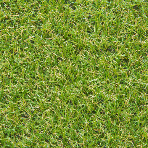 The Seasonal Aisle 3cm Artificial Grass The Seasonal Aisle Size: 3cm H x 200cm W x 300cm D  - Size: 8cm H X 119cm W X 11cm D The Seasonal Aisle 3cm Artificial Grass The Seasonal Aisle Size: 3cm H x 200cm W x 300cm D  - Size: 8cm H X 119cm W X 11cm D