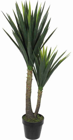 The Seasonal Aisle Yucca Plant in Pot The Seasonal Aisle  - Size: 40cm H x 26cm W x 26cm D The Seasonal Aisle Yucca Plant in Pot The Seasonal Aisle  - Size: 40cm H x 26cm W x 26cm D