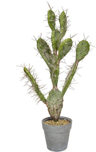 The Seasonal Aisle Artificial Cactus Plant in Pot The Seasonal Aisle  - Size: 47cm H X 41cm W X 47cm D The Seasonal Aisle Artificial Cactus Plant in Pot The Seasonal Aisle  - Size: 47cm H X 41cm W X 47cm D