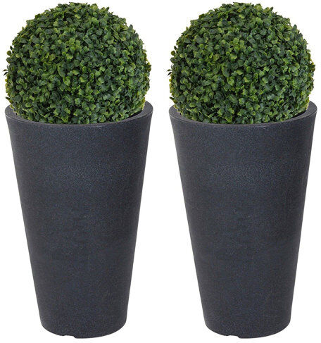 The Seasonal Aisle Tabletop Boxwood Grass in Pot The Seasonal Aisle  - Size: The Seasonal Aisle Tabletop Boxwood Grass in Pot The Seasonal Aisle  - Size: