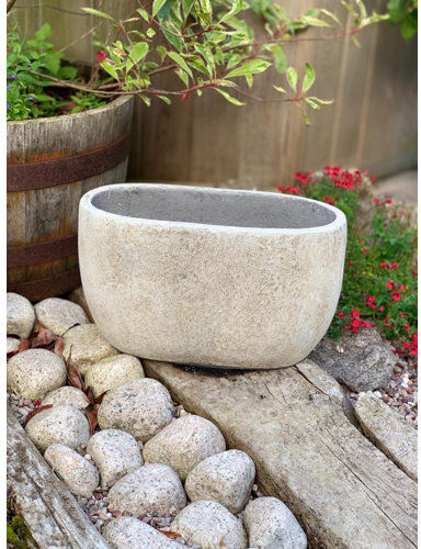 World Menagerie Laya Concrete Plant Pot World Menagerie  - Size: 50cm H x 120cm W x 1.8cm D World Menagerie Laya Concrete Plant Pot World Menagerie  - Size: 50cm H x 120cm W x 1.8cm D