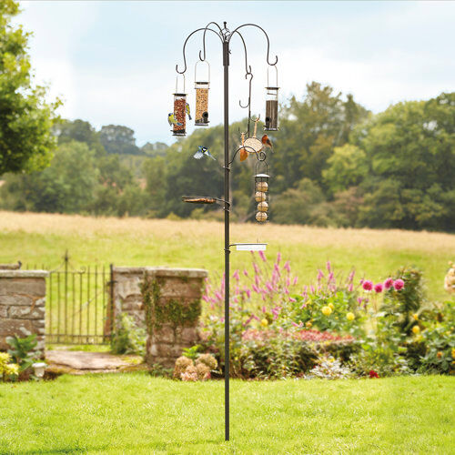 Dakota Fields Toro Decorative Bird Feeder Dakota Fields  - Size: Dakota Fields Toro Decorative Bird Feeder Dakota Fields  - Size: