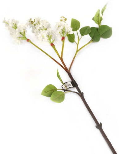 The Seasonal Aisle Blossom Lilac (Set of 6) The Seasonal Aisle  - Size: 74cm H x 19cm W x 10cm D The Seasonal Aisle Blossom Lilac (Set of 6) The Seasonal Aisle  - Size: 74cm H x 19cm W x 10cm D