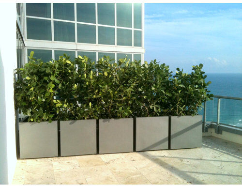 Zipcode Design West Branch Fiberglass Planter Box Zipcode Design Size: Medium, Colour: Aluminium  - Size: 100cm H X 100cm W X 100cm D