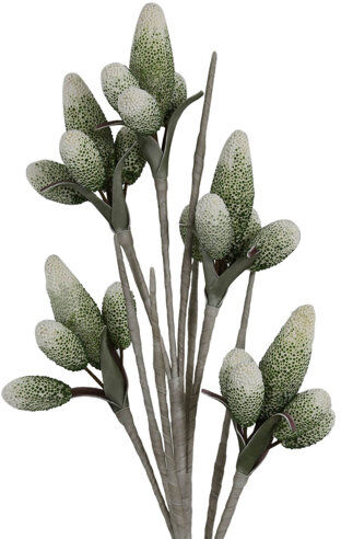 ClassicLiving Greenleaf Branch Floral Arrangements (Set of 3) ClassicLiving Flower Colour: Green  - Size: 150cm -152cm H X 46cm W X 44cm -46cm D ClassicLiving Greenleaf Branch Floral Arrangements (Set of 3) ClassicLiving Flower Colour: Green  - Size: 150cm -152cm H X 46cm W X 44cm -46cm D