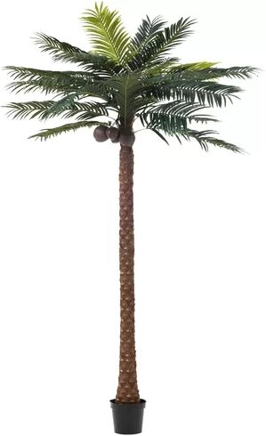 The Seasonal Aisle Palm Tree in Pot The Seasonal Aisle  - Size: 45.72cm H x 66.04cm W x 3.81cm D