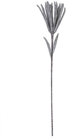 The Seasonal Aisle Papyrus Stems (Set of 3) The Seasonal Aisle Flowers/Leaves Colour: Grey  - Size: Extra Large The Seasonal Aisle Papyrus Stems (Set of 3) The Seasonal Aisle Flowers/Leaves Colour: Grey  - Size: Extra Large