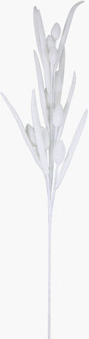 The Seasonal Aisle Bunny Tail Stem (Set of 2) The Seasonal Aisle Flowers/Leaves Colour: White  - Size: 40cm H X 40cm W X 2cm D The Seasonal Aisle Bunny Tail Stem (Set of 2) The Seasonal Aisle Flowers/Leaves Colour: White  - Size: 40cm H X 40cm W X 2cm D