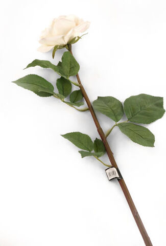The Seasonal Aisle Roses Stem (Set of 6) The Seasonal Aisle  - Size: Extra Large The Seasonal Aisle Roses Stem (Set of 6) The Seasonal Aisle  - Size: Extra Large