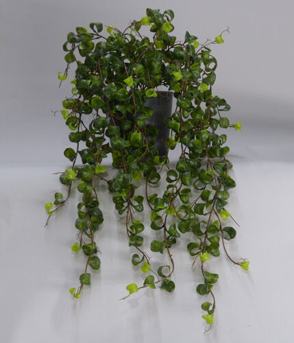 The Seasonal Aisle 52cm Artificial Foliage Plant in Pot The Seasonal Aisle  - Size: 10cm H X 150cm W X 10cm D The Seasonal Aisle 52cm Artificial Foliage Plant in Pot The Seasonal Aisle  - Size: 10cm H X 150cm W X 10cm D