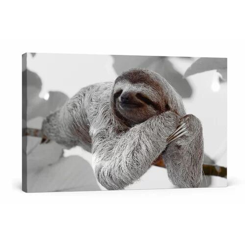 East Urban Home Beautiful Sloth Hanging from a Branch Wall Art on Canvas East Urban Home Size: 80 cm H x 120 cm W  - Size: 40cm H x 60cm W