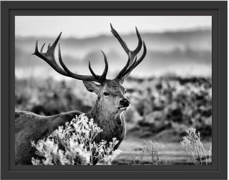 East Urban Home Proud Stag in the Field Framed Graphic Art Print East Urban Home Size: 30cm H x 38cm W  - Size: 60cm H x 80cm W