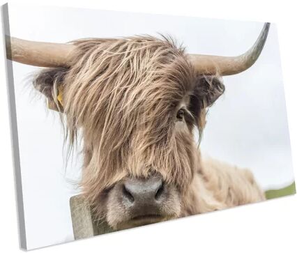 Alpen Home 'Highland Cow Animal' Photograph on Canvas Alpen Home Size: 55 cm H x 75 cm W  - Size: 50cm H X 20cm W X 20cm D