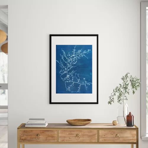 East Urban Home Cystoseira Fzurosa - Painting Print East Urban Home Format: Framed Paper, Size: 100 cm H x 70 cm W x 2.3 cm D  - Size: 100 cm H x 82 cm W x 3.8 cm D