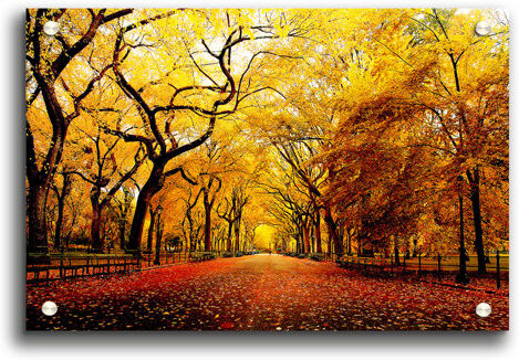 East Urban Home Wide Alley Forest - Unframed Photograph Print on Acrylic East Urban Home Size: 84.1cm H x 118.9cm W x 1cm D  - Size: 59.4cm H x 84.1cm W x 1cm D East Urban Home Wide Alley Forest - Unframed Photograph Print on Acrylic East Urban Home Size: 84.1cm H x 118.9cm W x 1cm D  - Size: 59.4cm H x 84.1cm W x 1cm D