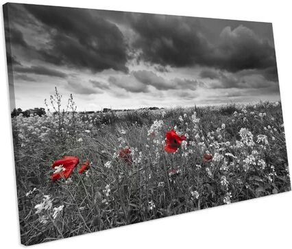 Latitude Run 'Poppies Field Flower' Photograph on Canvas Latitude Run Size: 96 cm H x 152 cm W  - Size: 50cm H x 160cm W x 1.8cm D