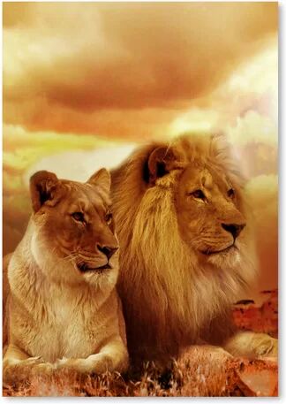 Americanflat Wonderful Dream Wildlife Lion Savannah Photographic Print Wrapped on Canvas Americanflat Size: 60 cm H x 40 cm W  - Size: 30 cm H x 40 cm W Americanflat Wonderful Dream Wildlife Lion Savannah Photographic Print Wrapped on Canvas Americanflat Size: 60 cm H x 40 cm W  - Size: 30 cm H x 40 cm W