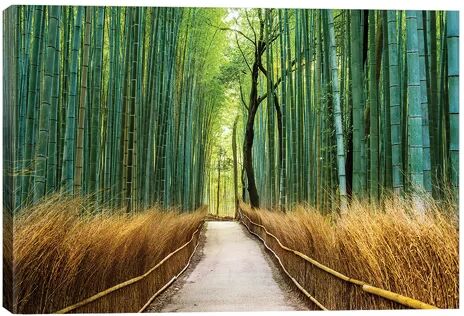 East Urban Home 'Arashiyama Ancient Bamboo Forest' Photographic Print on Wrapped Canvas East Urban Home Size: 66.04cm H x 101.6cm W x 3.81cm D  - Size: 127cm H X 52cm W X 45cm D