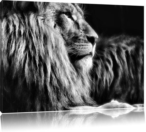 East Urban Home Majestic Proud Lion in Monochrome Wall Art on Canvas East Urban Home Size: 70cm H x 100cm W  - Size: 80 cm H x 120 cm W East Urban Home Majestic Proud Lion in Monochrome Wall Art on Canvas East Urban Home Size: 70cm H x 100cm W  - Size: 80 cm H x 120 cm W