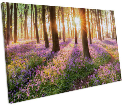 Latitude Run 'Spring Bluebells Forest' Photograph on Canvas Latitude Run Size: 82 cm H x 128 cm W  - Size: 55 cm H x 75 cm W Latitude Run 'Spring Bluebells Forest' Photograph on Canvas Latitude Run Size: 82 cm H x 128 cm W  - Size: 55 cm H x 75 cm W