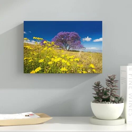 East Urban Home Jacaranda Tree by David Fleetham - Wrapped Canvas Graphic Art Print East Urban Home Size: 50.8cm H x 76.2cm W x 3.81cm D  - Size: 60.96cm H x 91.44cm W x 3.81cm D East Urban Home Jacaranda Tree by David Fleetham - Wrapped Canvas Graphic Art Print East Urban Home Size: 50.8cm H x 76.2cm W x 3.81cm D  - Size: 60.96cm H x 91.44cm W x 3.81cm D