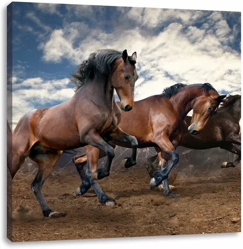 East Urban Home Wild Free Horses Art Print on Canvas East Urban Home  - Size: 60cm H x 60cm W