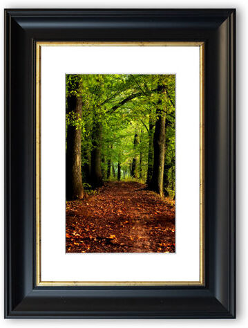 East Urban Home 'Woodland Walk 1 Cornwall' - Picture Frame Photograph Print on Paper East Urban Home Size: 126cm H x 93cm W x 1cm D, Frame Option: Matte Black  - Size: 93cm H x 70cm W x 1cm D East Urban Home 'Woodland Walk 1 Cornwall' - Picture Frame Photograph Print on Paper East Urban Home Size: 126cm H x 93cm W x 1cm D, Frame Option: Matte Black  - Size: 93cm H x 70cm W x 1cm D