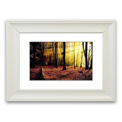 East Urban Home 'Sunlight Through Forest Cornwall Forest' - Picture Frame Photograph Print on Paper East Urban Home Size: 70cm H x 93cm W x 1cm D, Frame Option: Matte  - Size: 50cm H x 70cm W x 1cm D