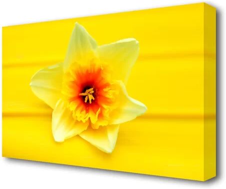 East Urban Home Daffodil Head Flowers Canvas Print Wall Art East Urban Home Size: 66 cm H x 101.6 cm W  - Size: 81.3 cm H x 121.9 cm W