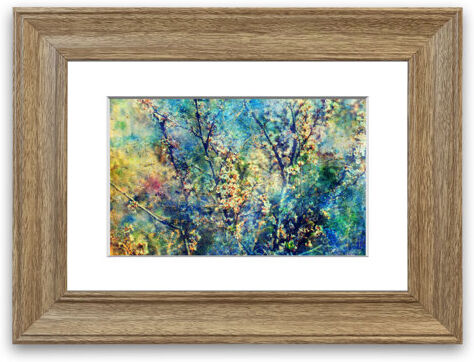 East Urban Home 'Cherry Tree Illusion' Framed Graphic Art East Urban Home Size: 70 cm H x 93 cm W, Frame Options: Teak  - Size: 50 cm H x 70 cm W East Urban Home 'Cherry Tree Illusion' Framed Graphic Art East Urban Home Size: 70 cm H x 93 cm W, Frame Options: Teak  - Size: 50 cm H x 70 cm W