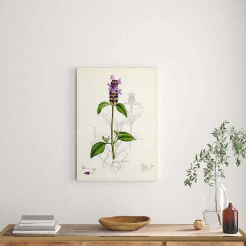 East Urban Home 'Prunella Vulgaris Self-Heal' Painting East Urban Home Format: Wrapped Canvas, Size: 100 cm H x 72.2 cm W x 3.8 cm D  - Size: 70 cm H x 50 cm W x 2.3 cm D East Urban Home 'Prunella Vulgaris Self-Heal' Painting East Urban Home Format: Wrapped Canvas, Size: 100 cm H x 72.2 cm W x 3.8 cm D  - Size: 70 cm H x 50 cm W x 2.3 cm D