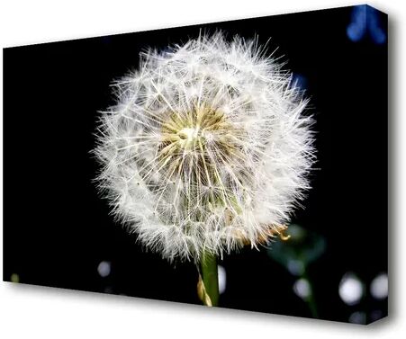 East Urban Home Dandelion Dream Flowers Canvas Print Wall Art East Urban Home Size: 101.6 cm H x 142.2 cm W  - Size: 81.3 cm H x 121.9 cm W