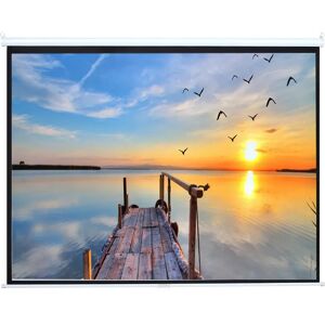 Latitude Run White Manual Projection Screen white 183.0 H x 269.0 W cm