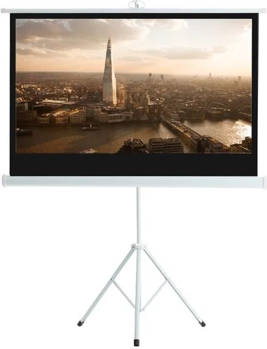 Symple Stuff Borkowski White Portable Projection Screen Symple Stuff Size: 230cm H x 185cm W x 19cm D  - Size: 110cm H X 90cm W X 36cm D