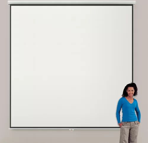 Symple Stuff Eyeline Manual Projection Screen Symple Stuff Viewing Area: 300cm H x 300cm W - Square 1:1